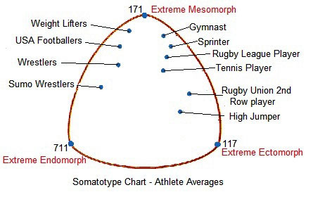 Somatotype Chart